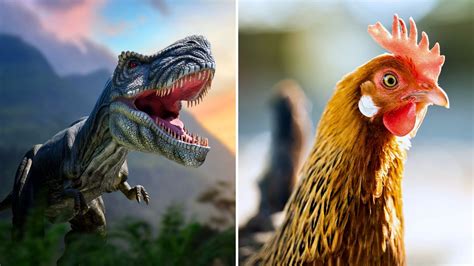 Top 10 Living Relatives Of Dinosaurs Still Walking The Earth