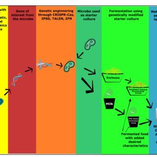 Image result for Metabolomics Tutorial