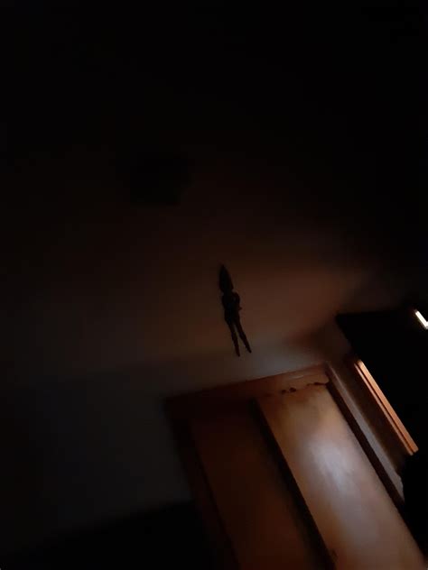 Why does my Elf on the Shelf always float and stare at me : r/Why