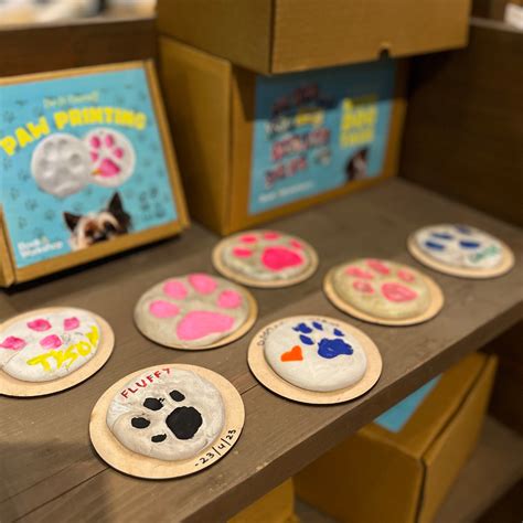 DIY Paw Printing Kit – Kitsters