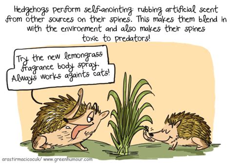 Image result for Sign Language Recognition Using CNN Flowchart