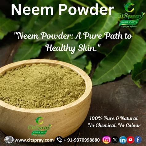 Neem powder - Neem Powder 100% Pure Manufacturer from Nagpur