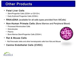 All Cell 的图像结果