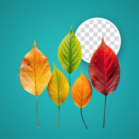 Autumn forest leaves | Premium AI-generated PSD