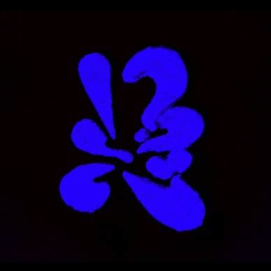 Tagging brain company