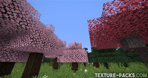 Image result for Minecraft Anime Texture Packs 1.17.1 Java