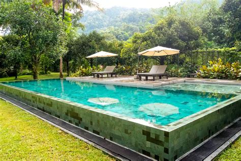 Image result for Swimming Pool Designs