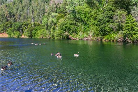Guide to Visit Upper Lake Clementine Beach in Auburn, Northern California