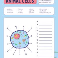 Visual Worksheets - Name parts of animal cell - Science Class 9 PDF ...
