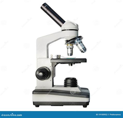 Modern Microscope 的图像结果