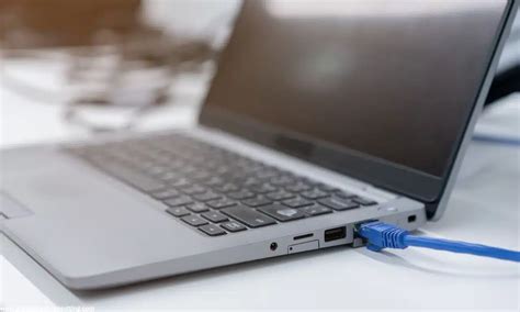 Network Bandwidth Monitor 的图像结果