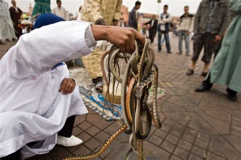 组图：摩洛哥街头驭蛇大师 乱蛇缠身毫不畏惧-搜狐新闻