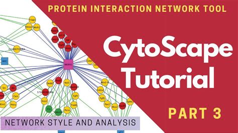 Image result for Cytoscape Tutorial