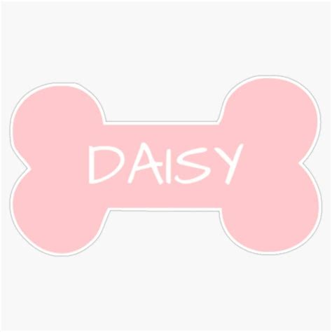 Daisy - Dog Name Tag Pink Vinyl Waterproof Sticker India | Ubuy