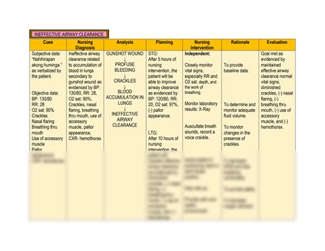 SOLUTION: Nursing care plan ineffective airway clearance - Studypool