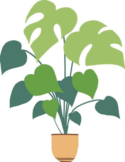 Simplicity monstera plant freehand drawing flat design. 10833233 PNG