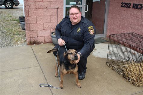 Dog Pound North Melbourne at Katherine Roosa blog