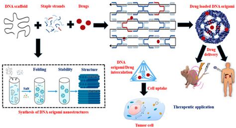 Unravelling the Drug Encapsulation Ability of Functional DNA Origami ...