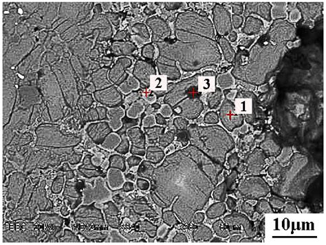 Mechanism of Phosphorus Enrichment in Dephosphorization Slag Produced ...