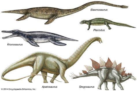 Diplodocidae | dinosaur family | Britannica