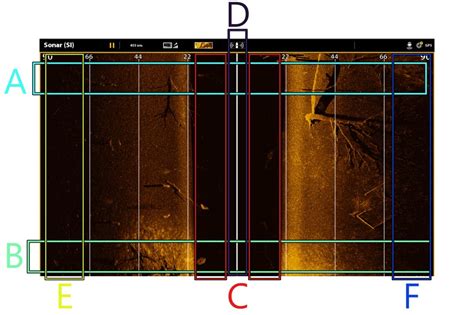 Image result for How to Read Side Scan Imaging