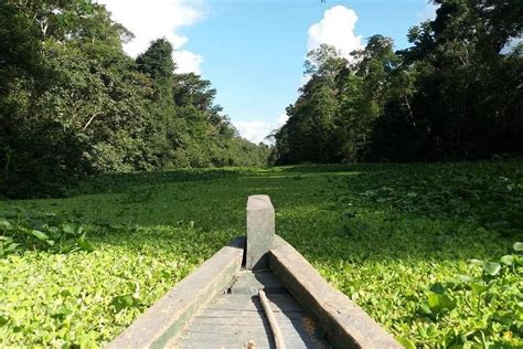 AMAZONAS TRAVELS (2026) All You Need to Know BEFORE You Go (with Photos ...