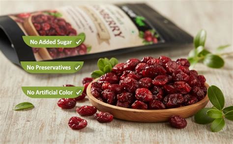 Nurture Tree Dried Sugar-Free Cranberries 200g | Rich in Antioxidants ...