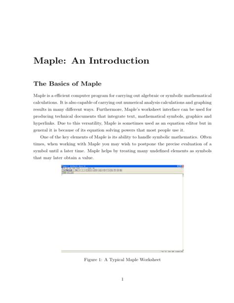 Introduction to Maple 的图像结果