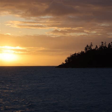 Download wallpaper 2780x2780 sea, trees, island, sunset, horizon ...