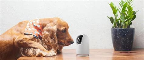 Xiaomi India | Mobile | TV | Fitness | Smart Home | Lifestyle - Mi India