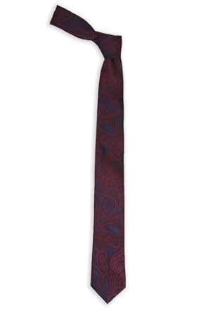 Buy Peter England Men Maroon Embroidered Tie at Amazon.in