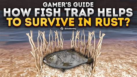 Image result for Rust Fish Trap Guide