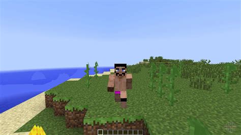 Image result for Player Animation MC First Person Java