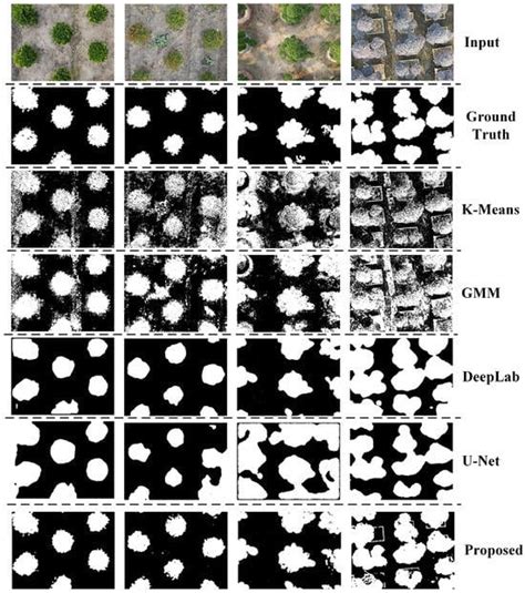 A Novel Unsupervised Segmentation Method of Canopy Images from UAV ...