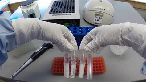 BIOTECH KITS - Chloroplast DNA Isolation Teaching Kit Manufacturer from ...