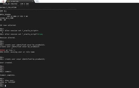 Image result for Oracle SQL Developer 12C