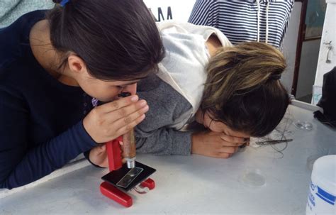 Research Questions Science 的图像结果