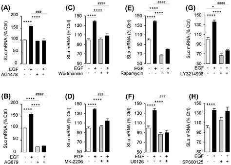NK3R Mediates the EGF-Induced SLα Secretion and mRNA Expression in ...