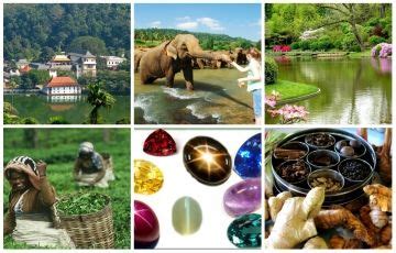 Amazing 4 Days 3 Nights Kandy with Colombo Tour Package | Kandy ...