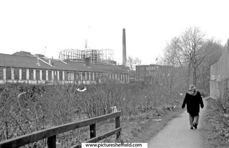 Searching Picture Sheffield