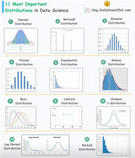 Image result for Statistics for Data Science Distribution Types