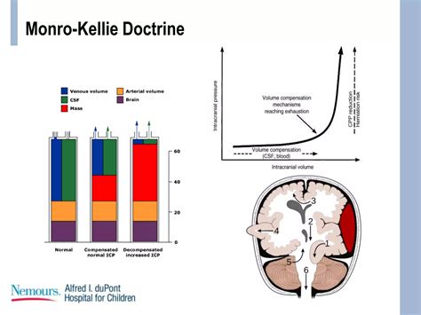 Pediatric traumatic brain injury presentation | PPTX