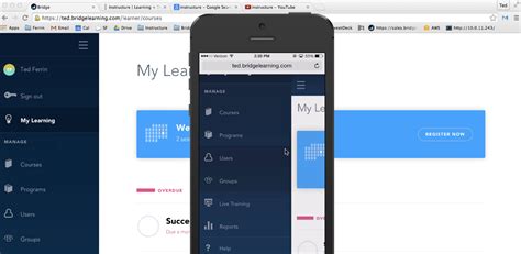 Image result for Instructure Bridge