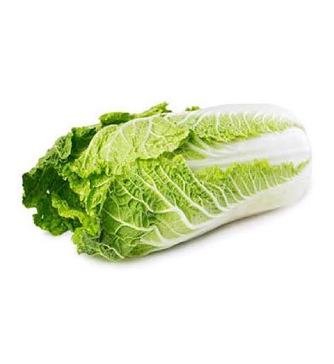 Chinese Cabbage - Farm Fresh Products | Food Products Supplier | Supple ...