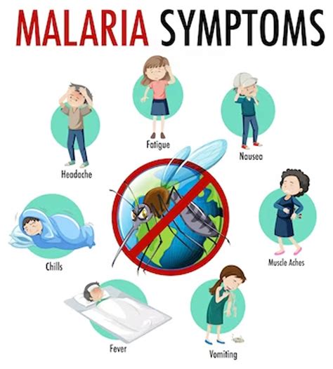 World Malaria Day: मलेरिया के लक्षण और बचाव के तरीके | Malaria ke ...