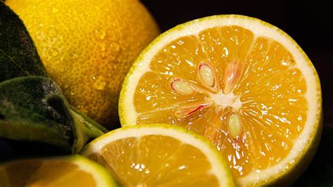 Debunking Myths: Are Lemon Seeds Poisonous