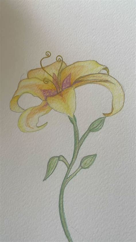 Tangled Rapunzel Flower Drawing