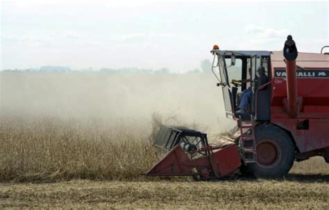VIDÉO. 'Histoires de la plaine', ou l'agonie d'un village argentin ...