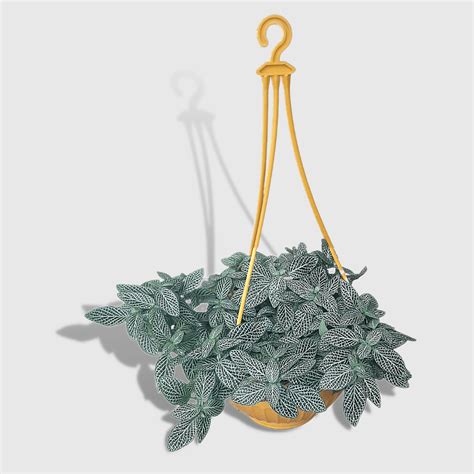 9-Inch Yellow Color Hanging Pots- Set of 5/10 – Leafy Island