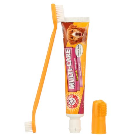 Buy Arm & Hammer Multi-Care Tartar Control Enzymatic Dog Toothbrush ...